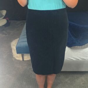 Velvet Feel Black Pencil Skirt Ann TAYLOR